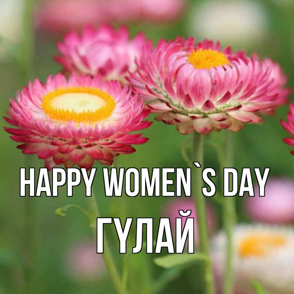 Greetings card с именем, ГҮЛАЙ happy women`s day подарок на международный женский день Greetings with text for free download 